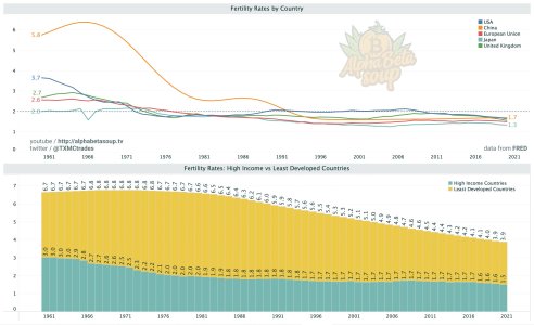 low birth rates.jpeg