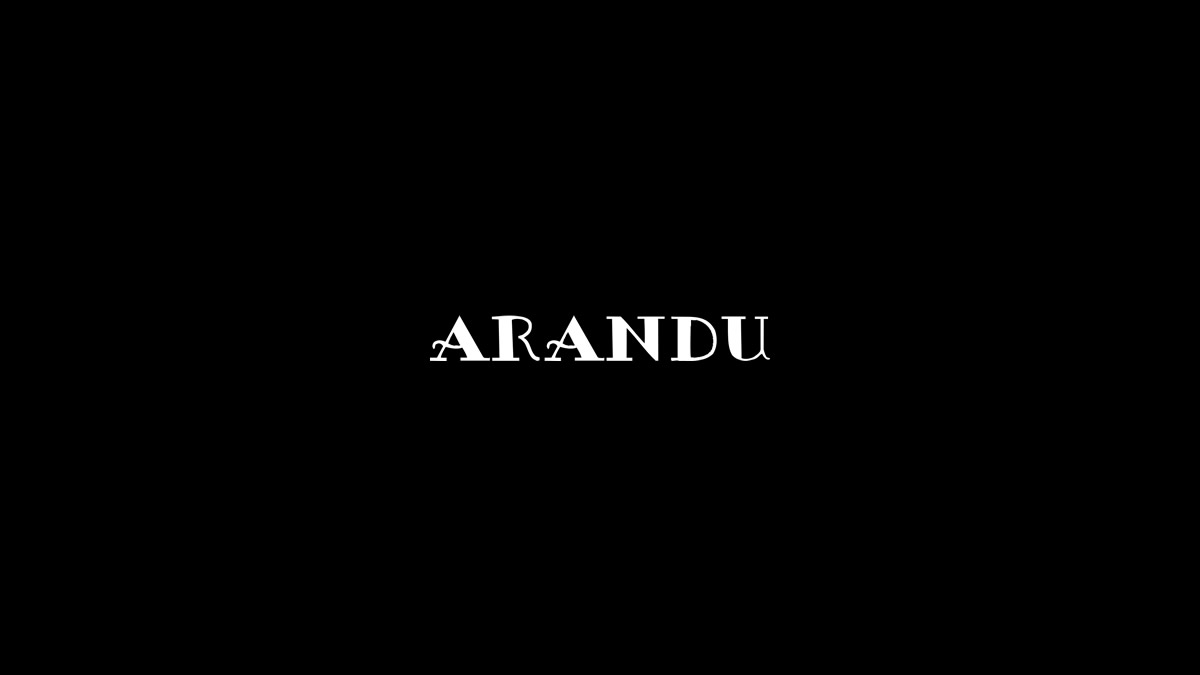 arandu.com.ar