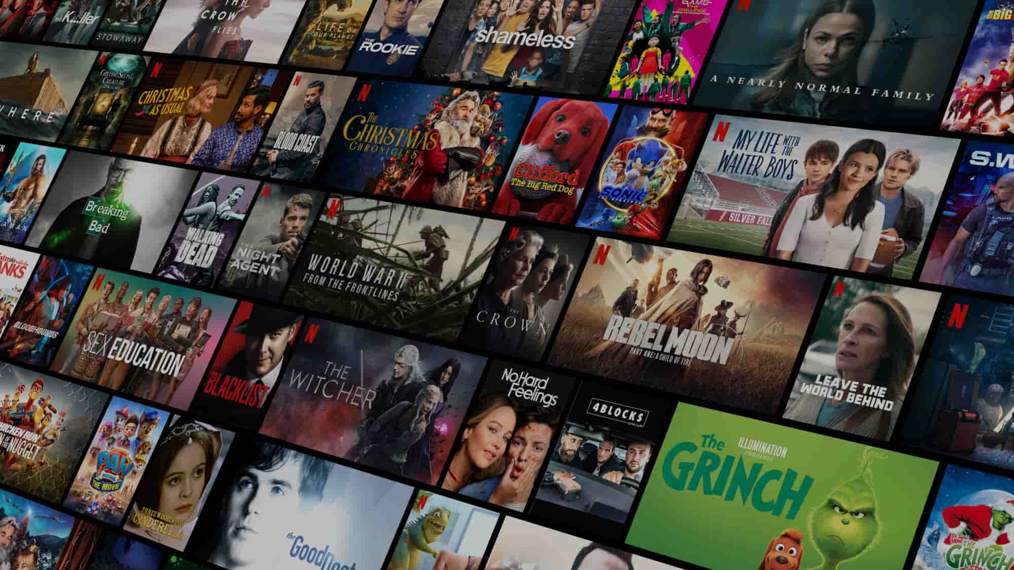 www.netflix.com